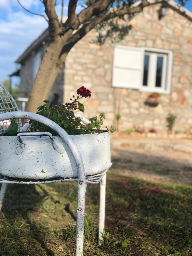 Cottage Rugonj Стари Град Екстериор снимка