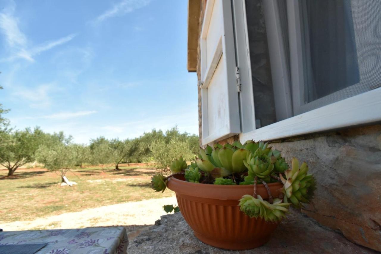 Cottage Rugonj Стари Град Екстериор снимка